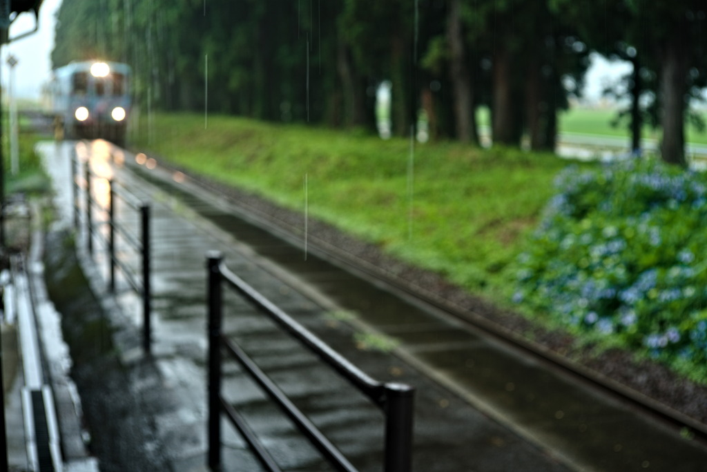 戻り梅雨