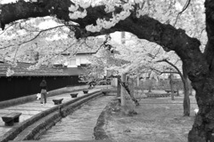 金山町散策