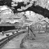 金山町散策