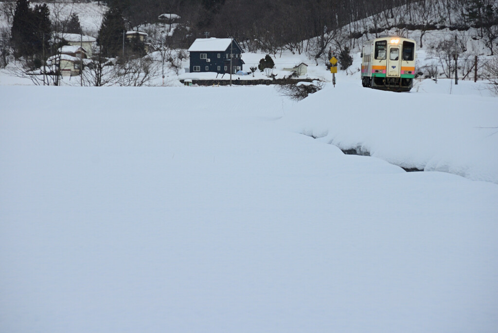 雪を走る