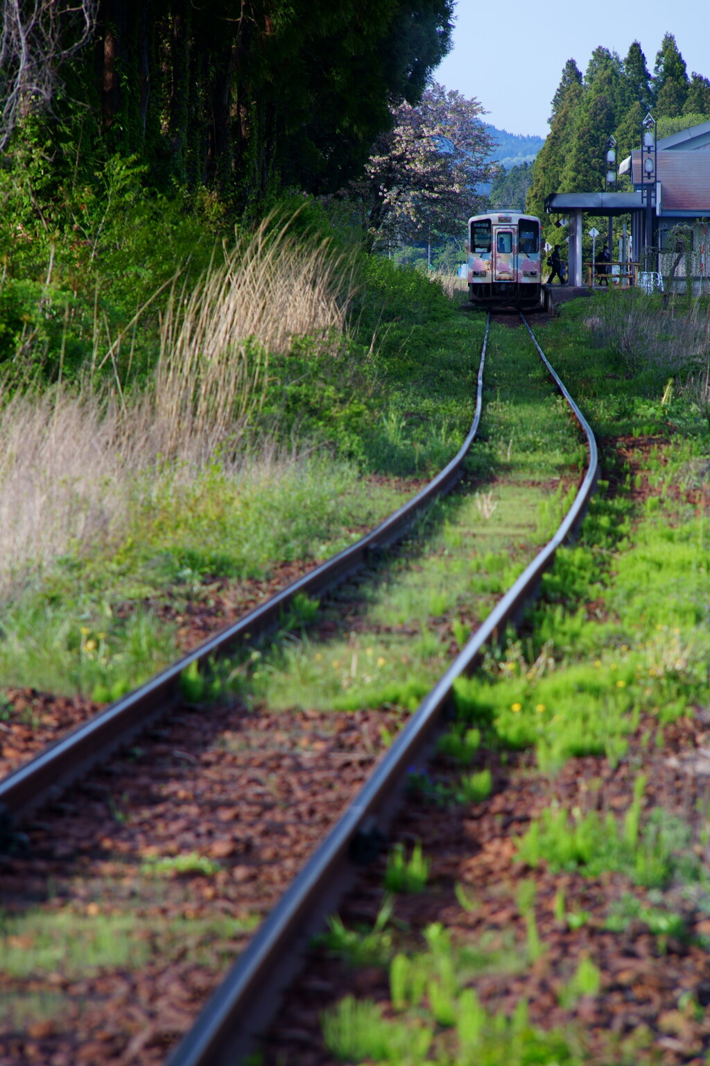 蚕桑駅停車