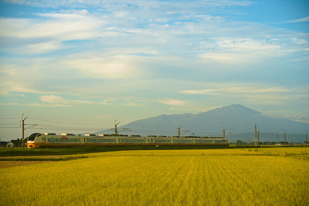 Harvest