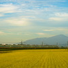 Harvest