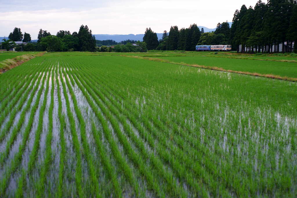 空梅雨でしょうか？