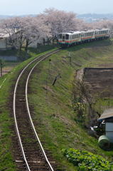 山形鉄道　フラワー長井線　桜