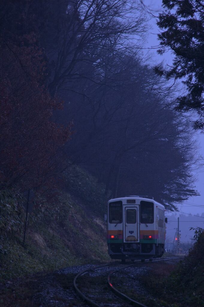 春の雨