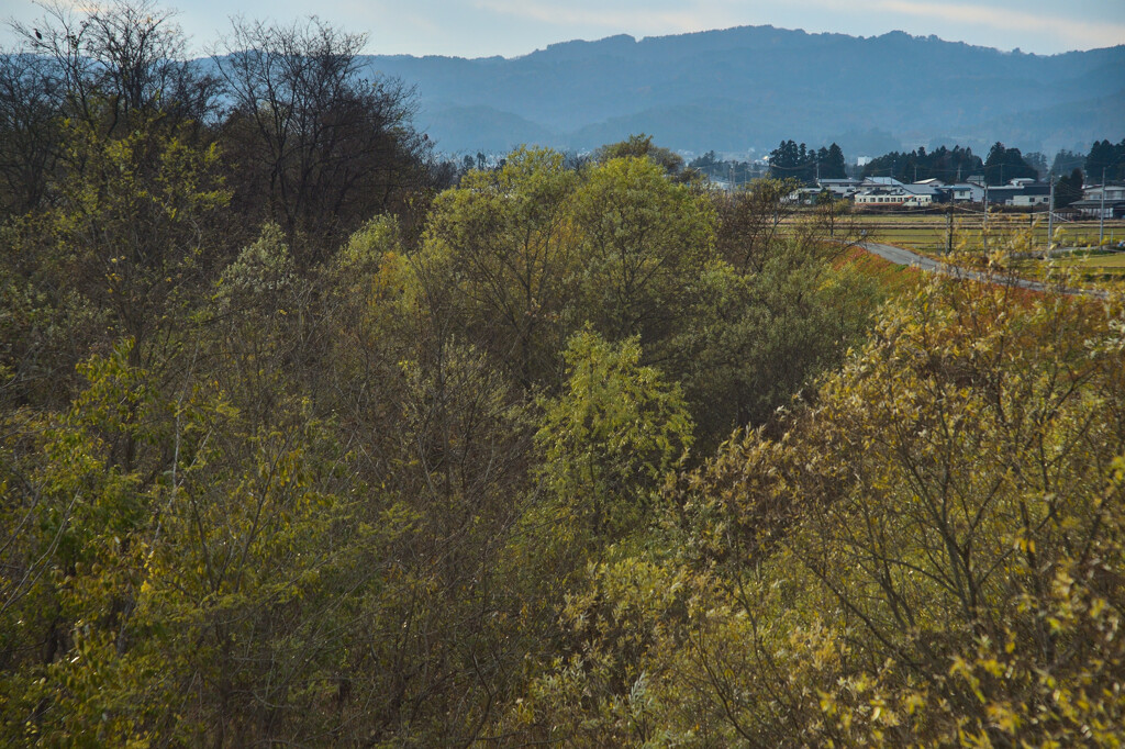 向こうを走る単機