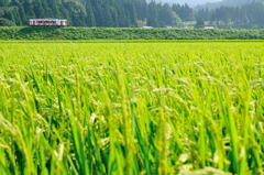 田園　由利高原鉄道