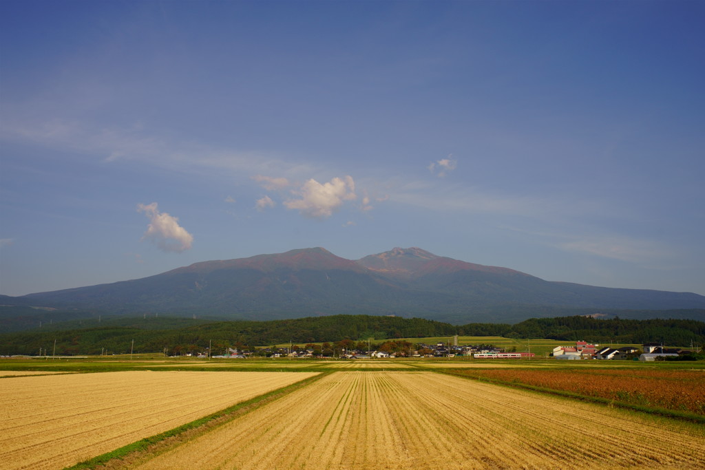 紅葉のころ