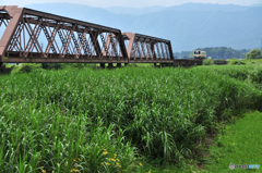 梅雨明けはいつ！？