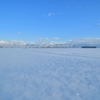 Cold Blue
