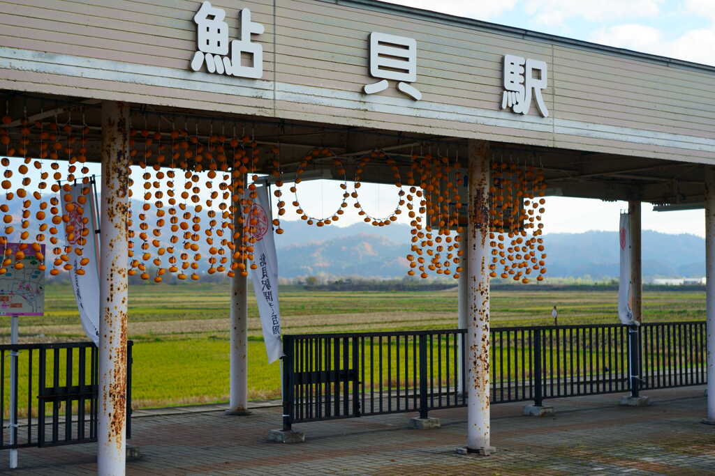 100年を干し柿で祝う