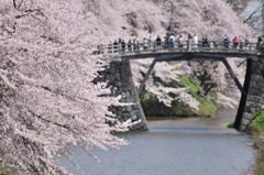 山形城址　大手門