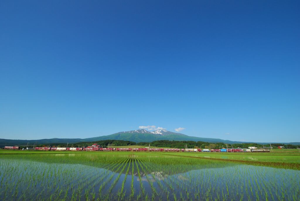 鳥海の麓を走る