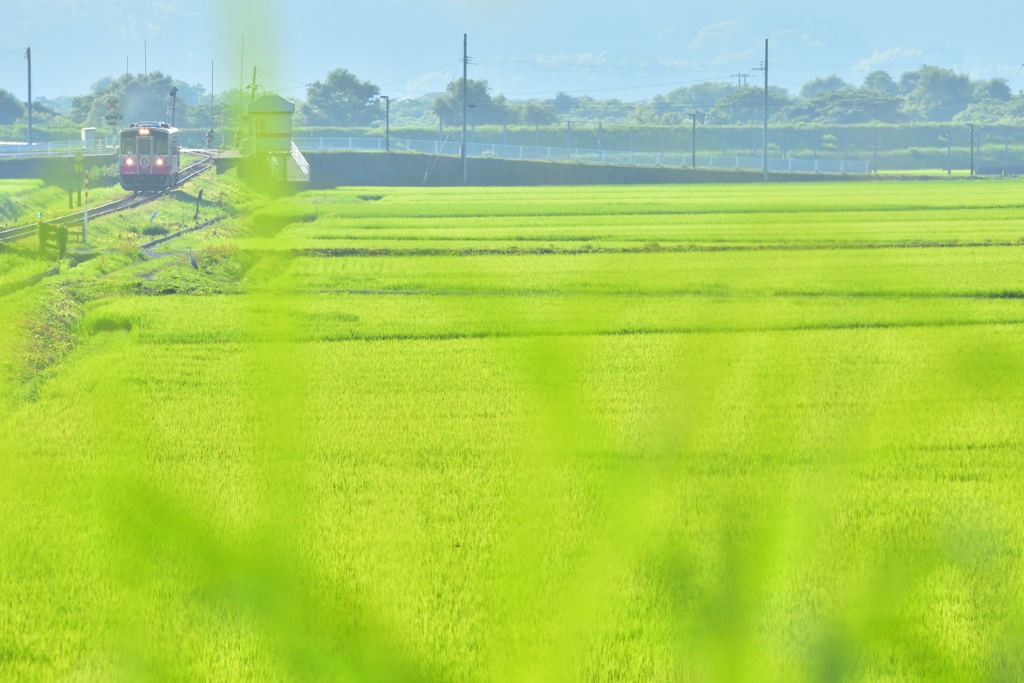 梅雨があけて