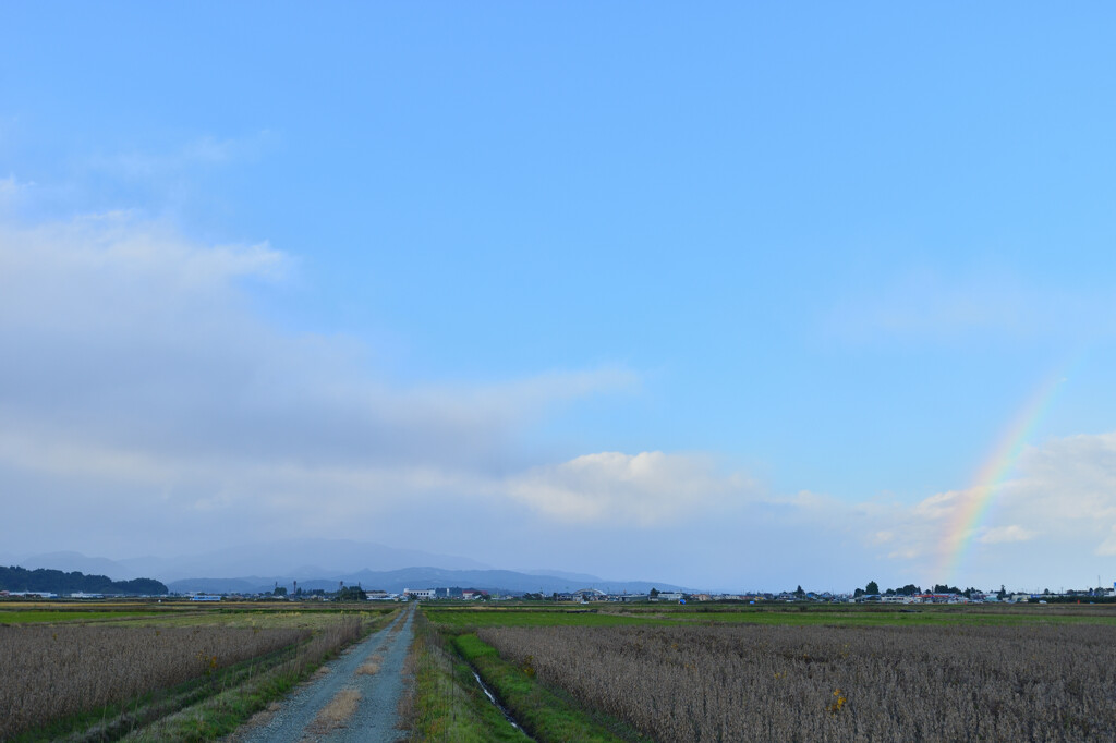秋の虹