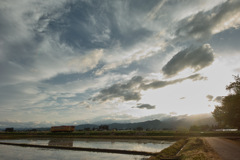 初夏の夕方