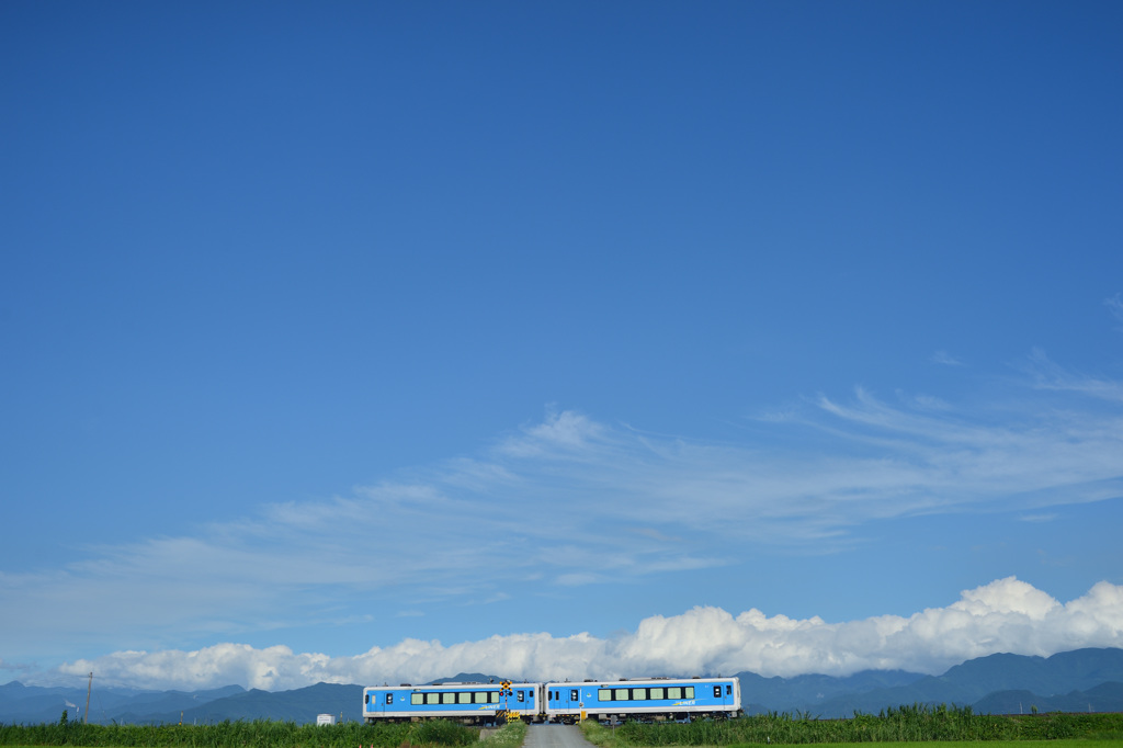堺踏切の夏