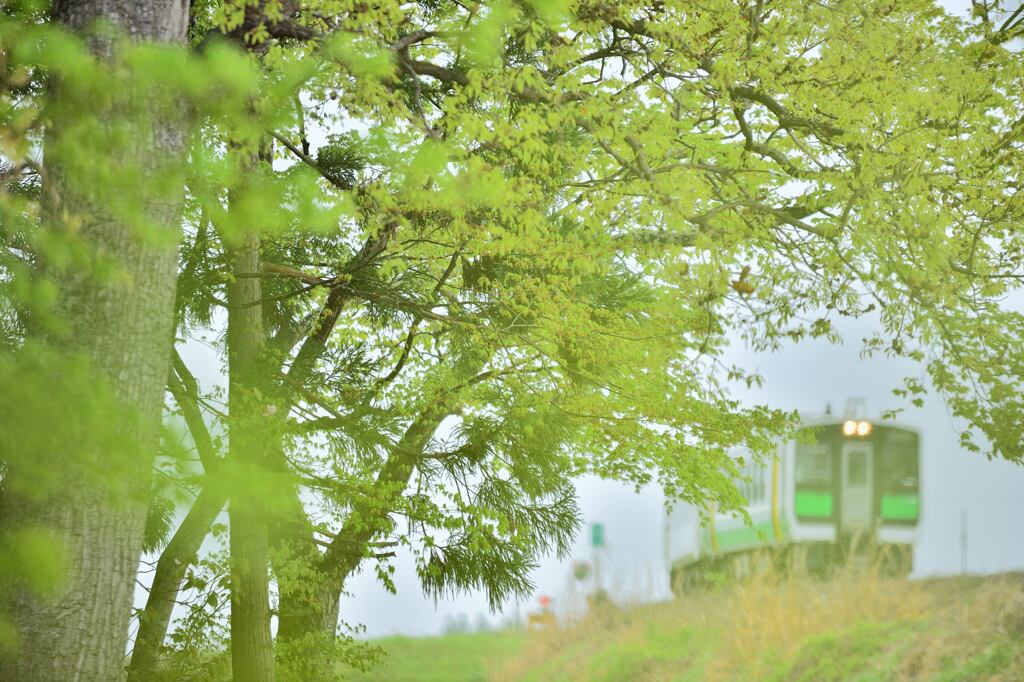 春の雨の日