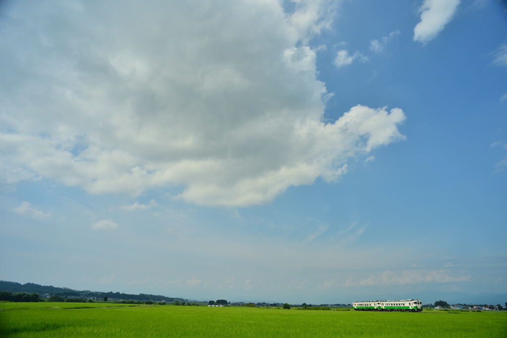 夏に走る