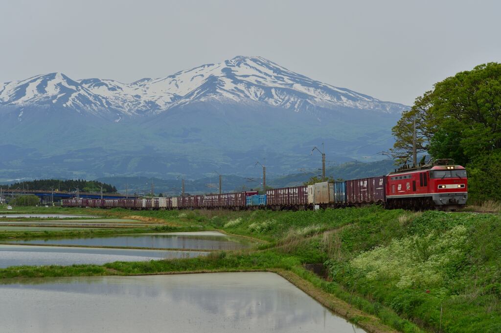 田植えの頃