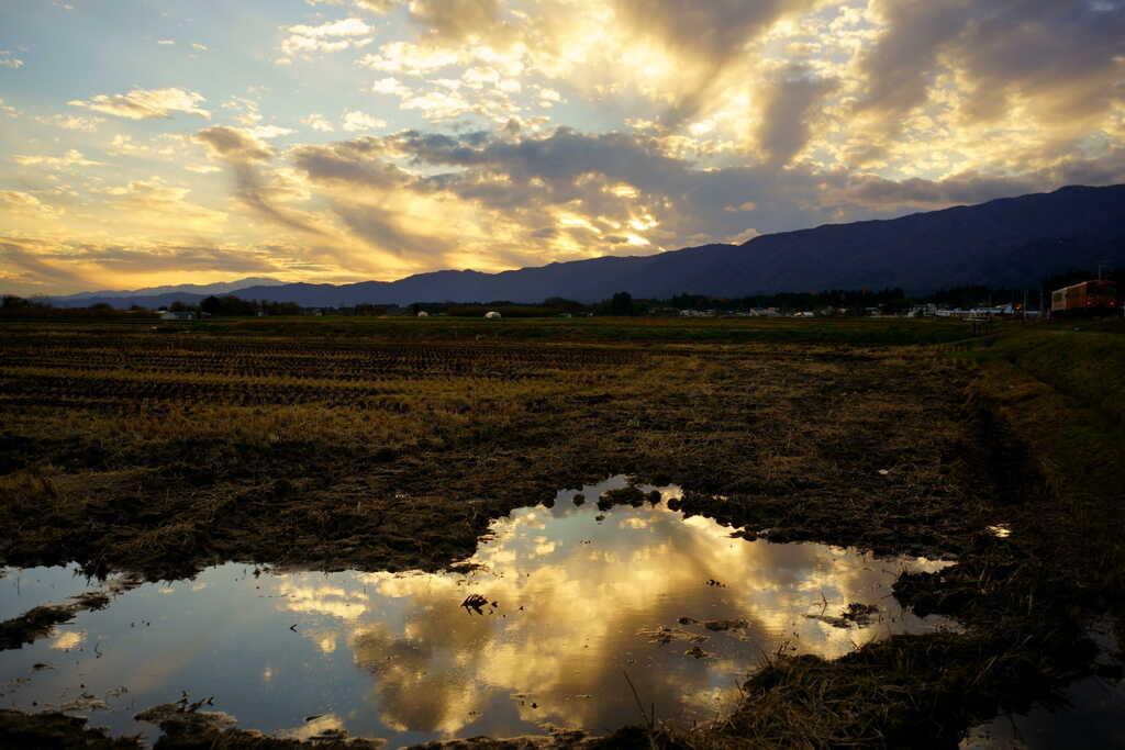 水たまりの空