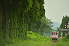 蚕桑駅の夏