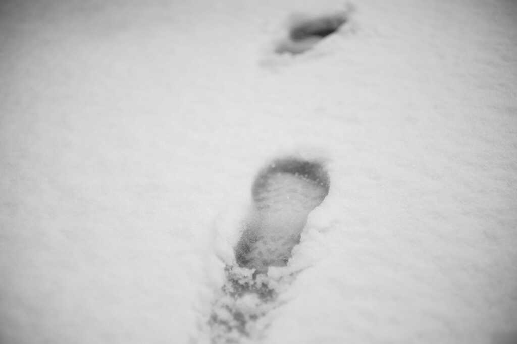 なごり雪