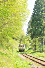新緑の山形鉄道