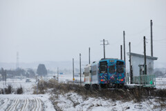 積もり始めの白兎