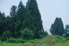 秋の入口