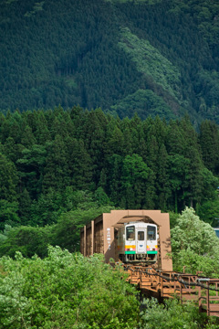 森と鉄橋