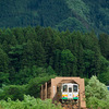 森と鉄橋