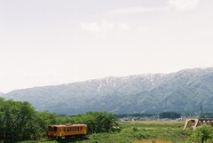 フィルムで撮るフラワー長井線