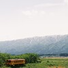 フィルムで撮るフラワー長井線