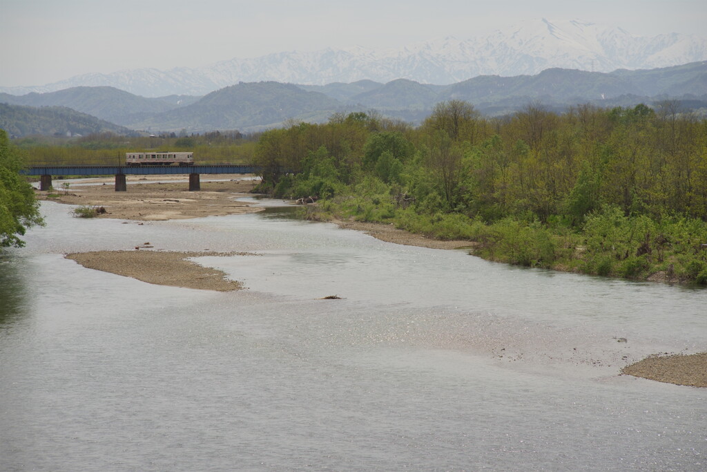 白川の春