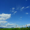 残暑の空