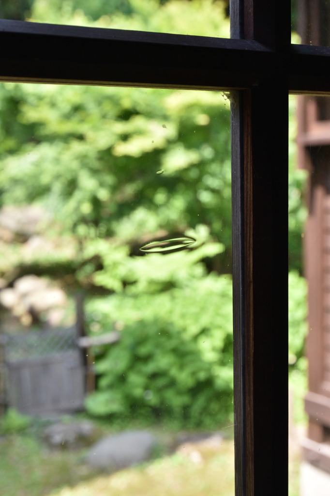 窓