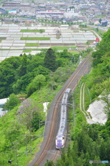つばさ　５月
