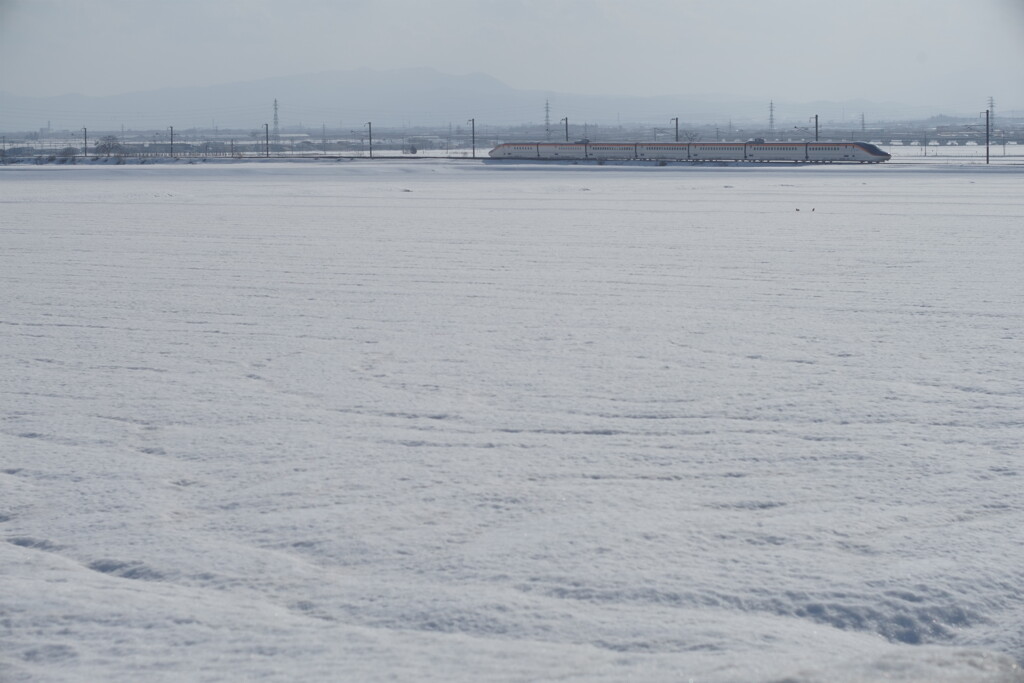 雪原を駆け抜ける