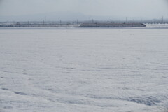 雪原を駆け抜ける
