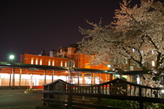 深谷駅と桜