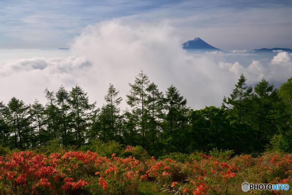 大時化の雲海と初夏の山