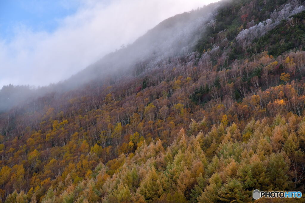 ひんやり秋の山