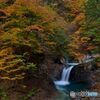 渓谷の秋