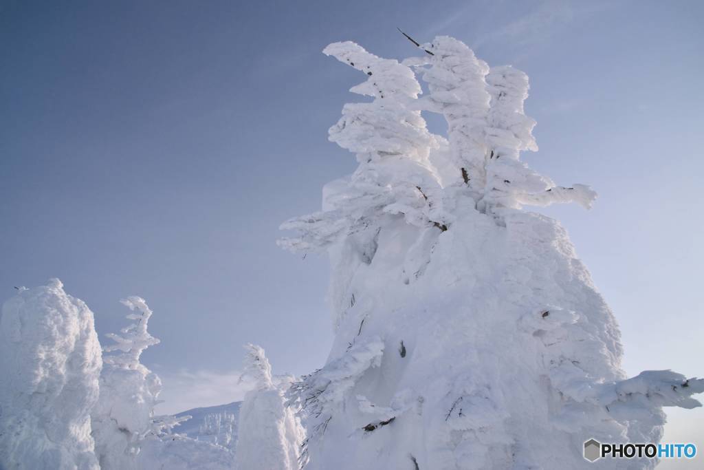 雪の衣