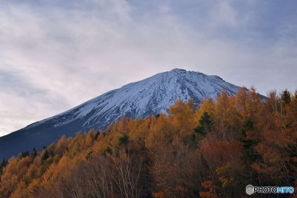 富士と唐松