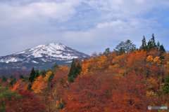 鳥海山と紅葉