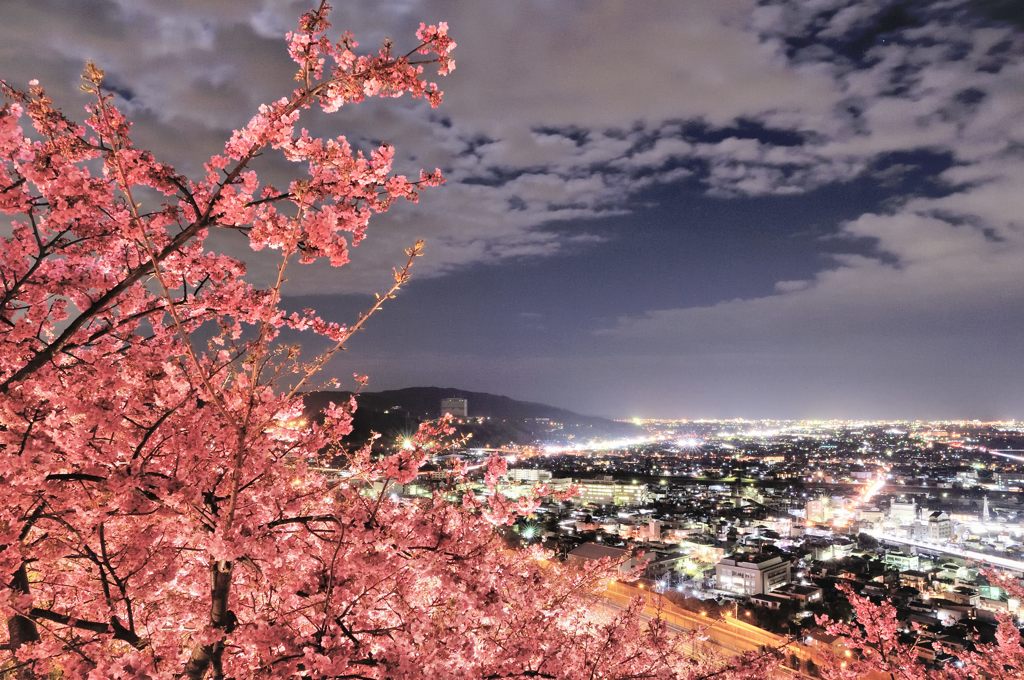 夜宴