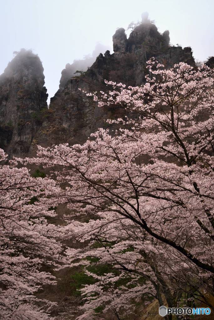 春の慕情